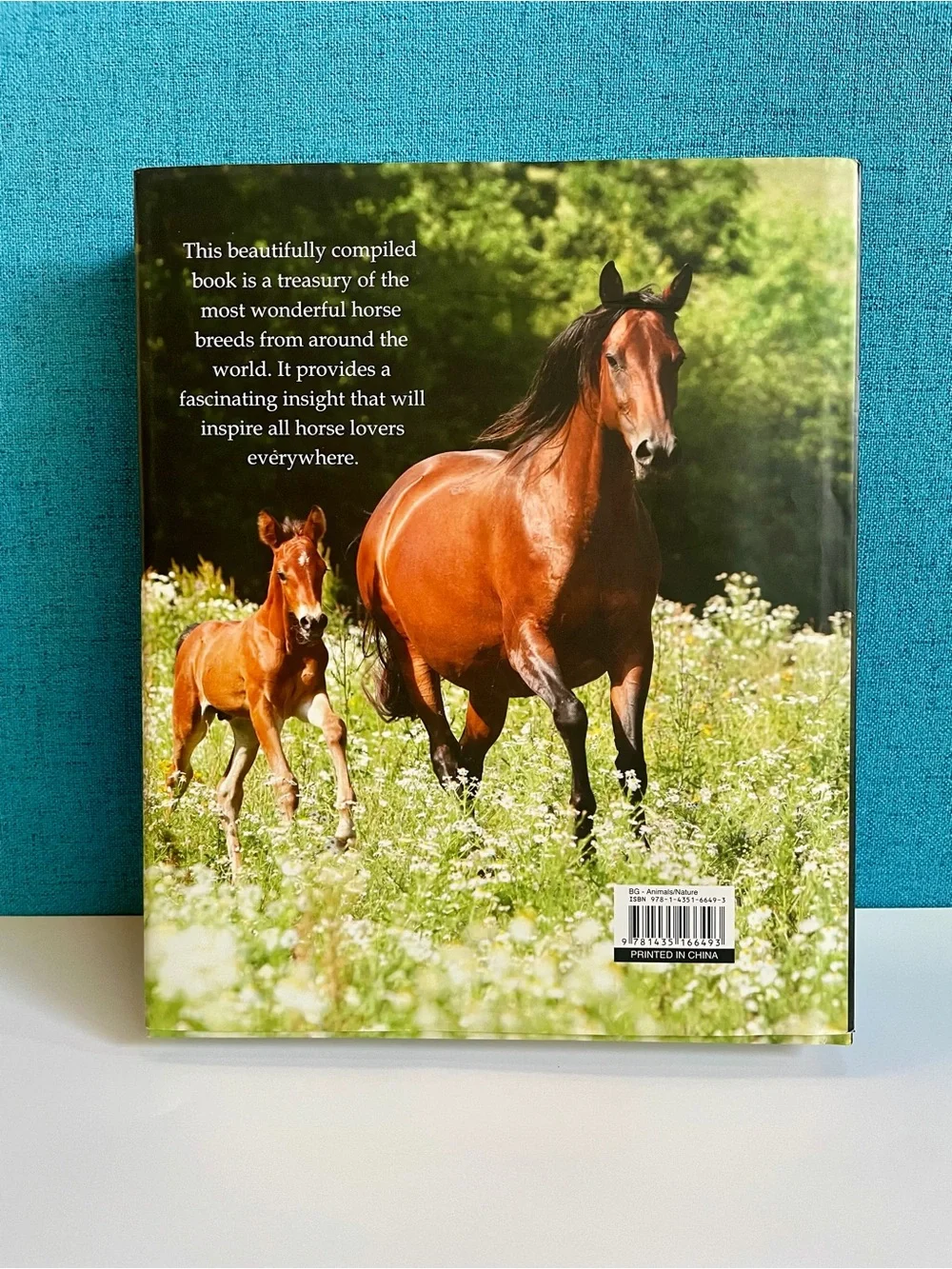 Enchanting Horses by Jennifer Anderson Hardcover book